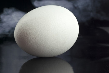 Egg with reflection. Smoke background.