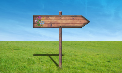 fleche sans texte dans la prairie