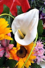 Detail of a Calla lily as part of a bouquet