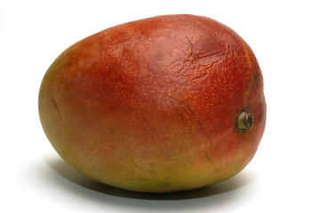Mangue