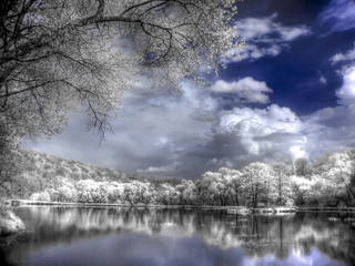 A forest lake is in an infra-red color