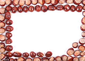 chestnuts background