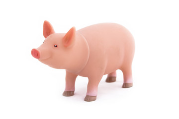 Toy pig
