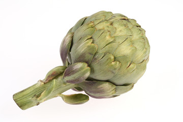 Obraz premium artichoke on white