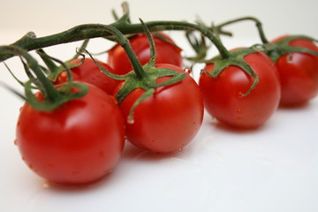 Tomatoes on white