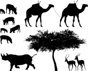 exotic trees and animals, vector set
