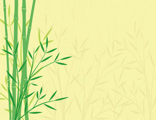 Fototapeta na wymiar Green Bamboo on a Yellow Background