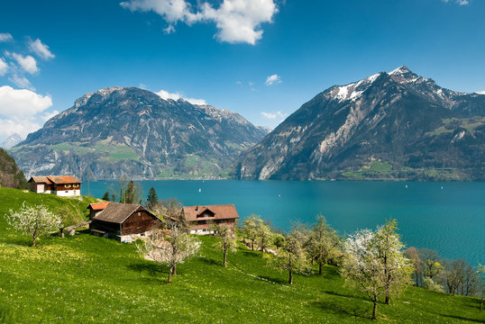 spring scenery at lake lucern