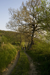 Walking on mountains