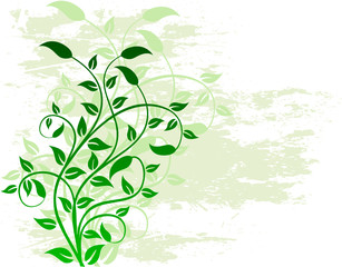 初夏のイメージ