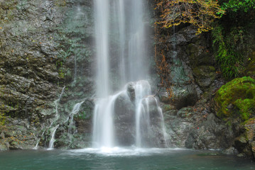 Fototapeta premium Silky waterfall