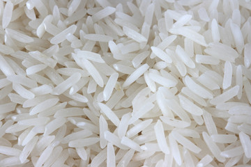 Raw rice close-up