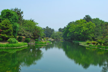 Japanese garden and reflection