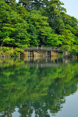 Fototapeta na wymiar Japanese garden and bridge with their reflection