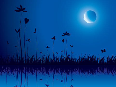 Evening nature background