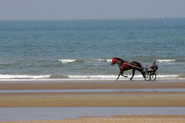 Sulky mit Fahrer und Pferd fahren am Meer entlang