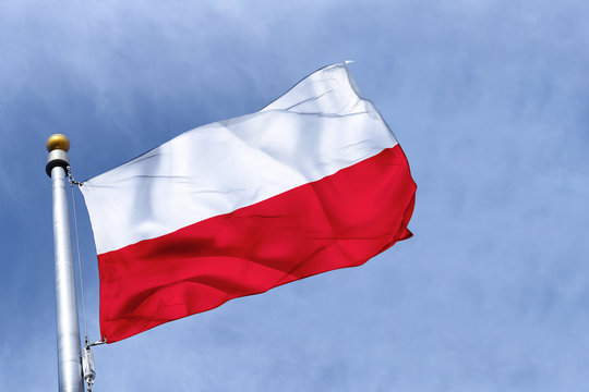 Fototapeta drapeau pologne