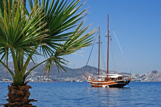 Fototapeta The yacht in a bay. Voyage.
