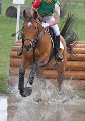 Vielseitigkeitsreiter im Gel&auml;nde