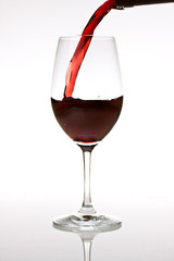 wine