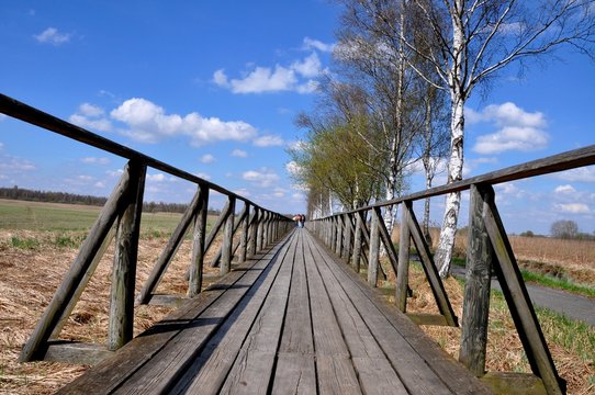 Steg Am Federsee