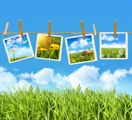 Tall grass with 4 pictures on clothesline