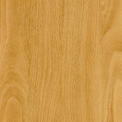 Fragment of lumber