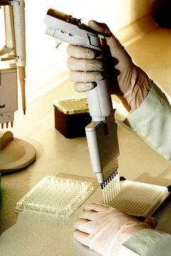 gene laboratory