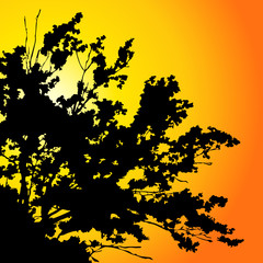 tree