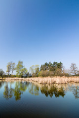 Fototapeta na wymiar Pond in the spring countryside
