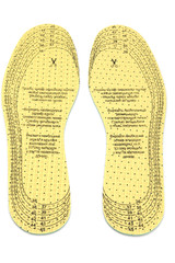 insole shoe