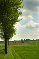 Obraz premium paesaggio lombardo