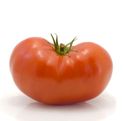 Large mature tomato