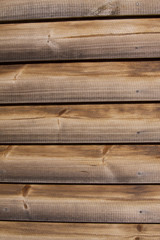 Obraz premium wood texture