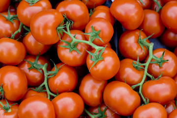 tomaten