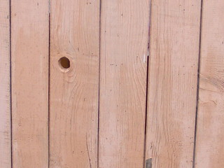Fototapeta premium wood