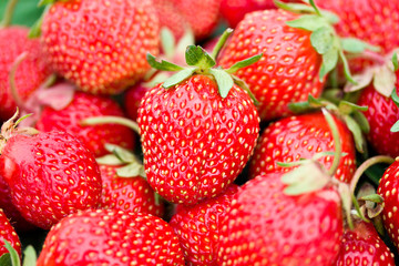 heap of ripe strawberries