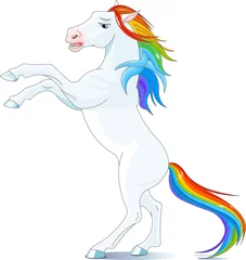 Foto op Plexiglas Pony Regenboog paard