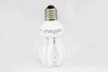 The Compact Fluorescent Lamp