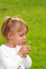 Cute little girl is blowing a dandelion