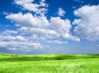 Obraz premium bright day in the steppe