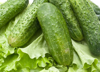 Foodgroup: vegetables