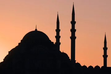 Zelfklevend Fotobehang Istambul sunset © ClaraD