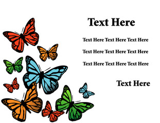 vector background with butterfly