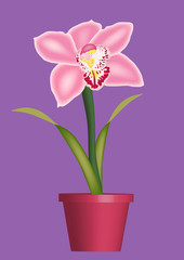 Naklejka na ściany i meble colourful illustration of orchid in a pot