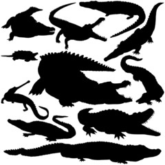 11 Pieces of Detailed Vectoral Crocodile Silhouettes