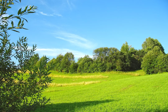 Green grassland and blue sky