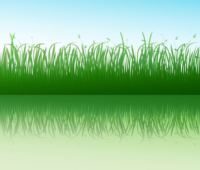 Green grass vector