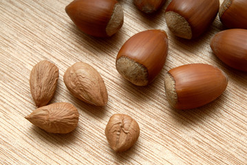 hazelnut