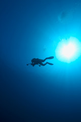 ocean, diver and sun